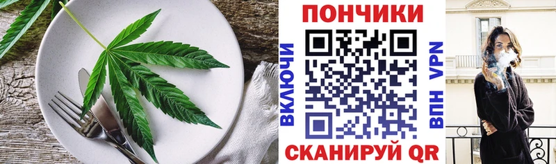 hydra как зайти  Долгопрудный  Печенье с ТГК марихуана  как найти наркотики 