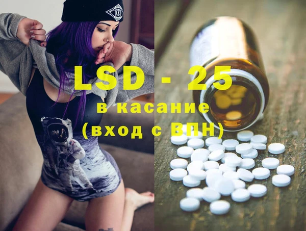 ПСИЛОЦИБИНОВЫЕ ГРИБЫ Заводоуковск